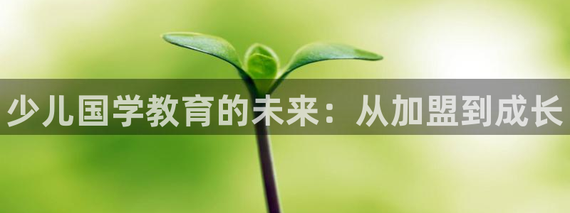 哪里可以看cq9电子