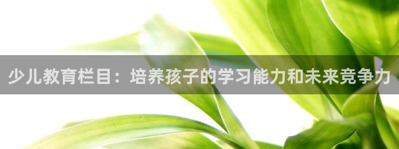 cq9电子负责人