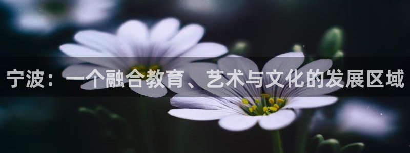 电子cq9资源