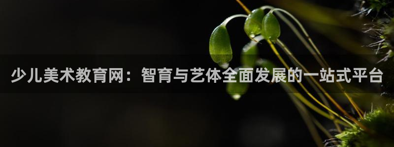 cq9传奇电子专用平台