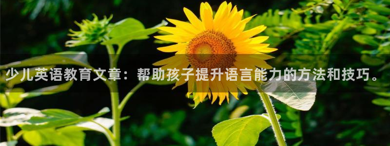 电子游戏cq9不夜城