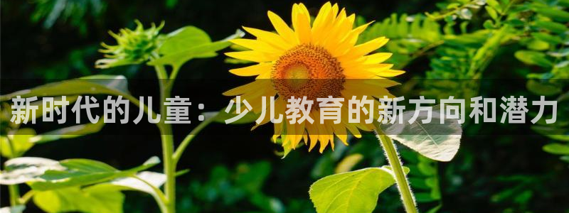 cq9传奇电子维护公告