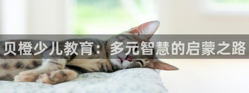 cq9电子女王