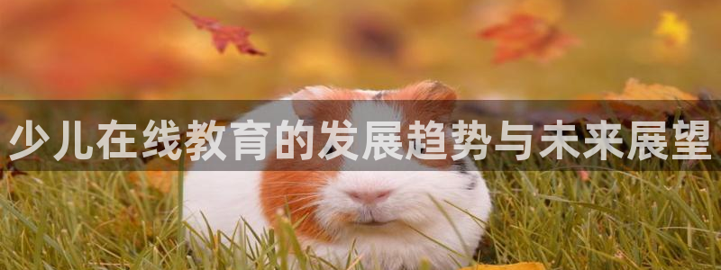 cq9电子 源码