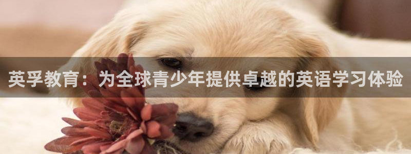 cq9传奇电子放水