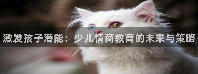 有电子cQ9的棋牌