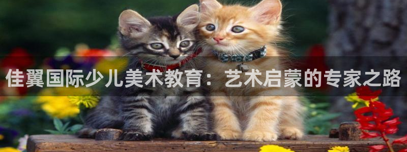 cq9电子娱乐平台在线