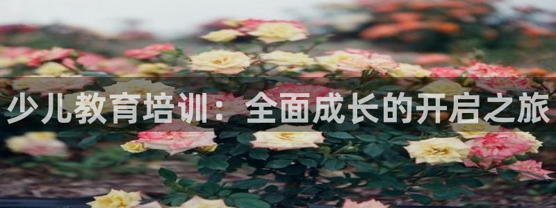 cq9传奇电子手机版