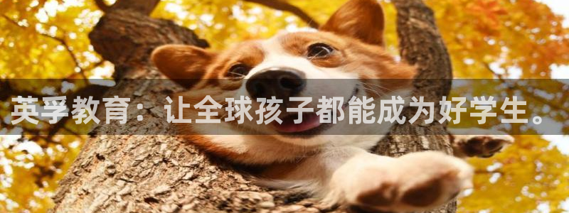 cq9电子开户注册平台