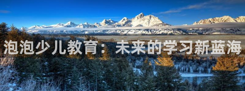 cq9电子板球狂热