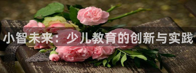 哪些网站有cq9电子