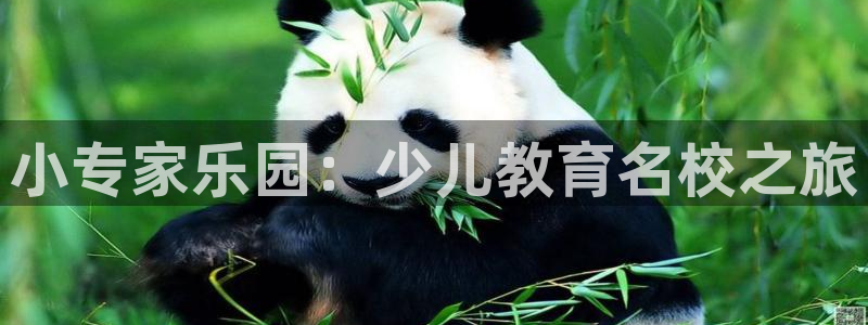 cq9电子大奖火凤凰