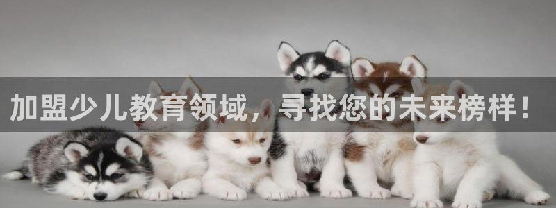 传奇电子cq9测评