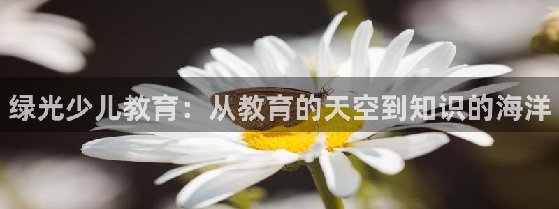 cq9电子