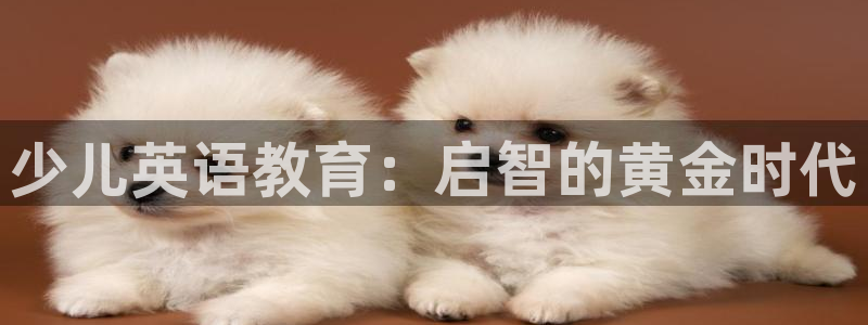 如何cq9传奇电子团队