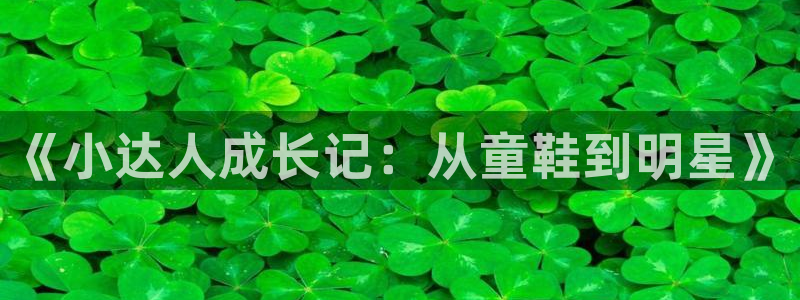 cq9电子里的钻石