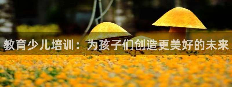CQ9电子平台网站