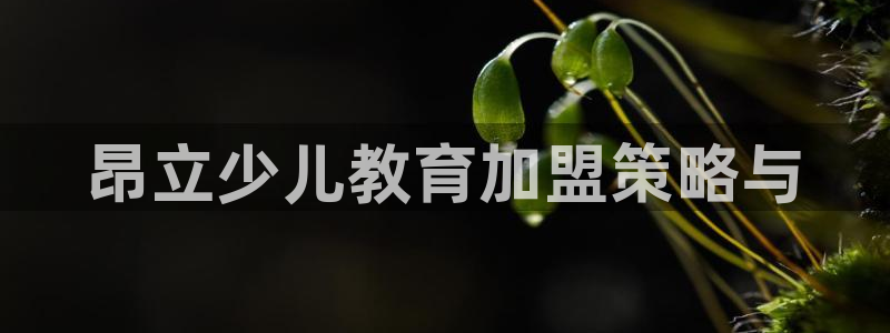 cq9电子试玩网站免费