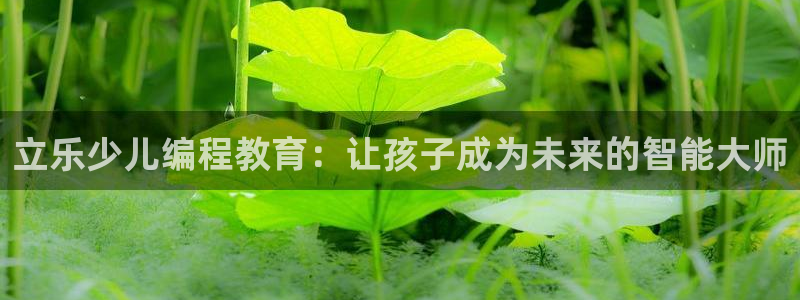 电子游戏cq9宙斯