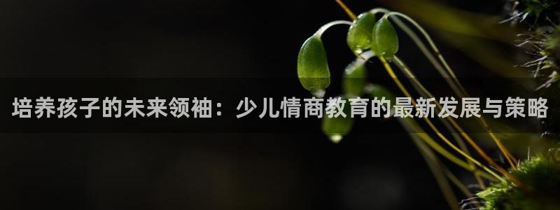 cq9传奇电子跳更高